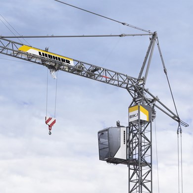 liebherr-fast-erecting-crane-81k-1-7.jpg