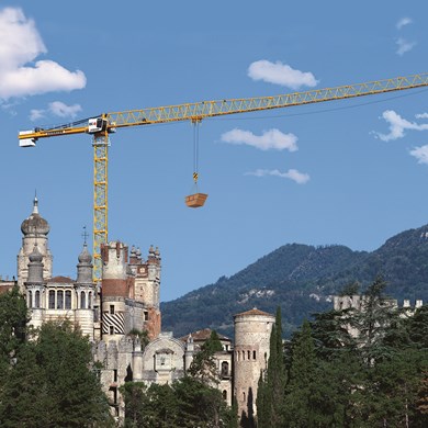 liebherr-flat-top-crane-250ec-b-12-litronic-5.jpg
